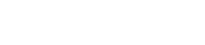 National Strategic Group Logo